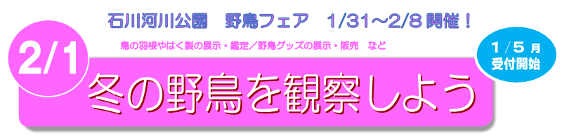 冬の野鳥観察会「冬の野鳥を観察しよう」