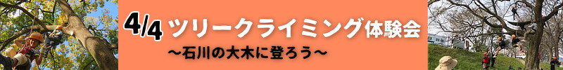 ツリークライミング〜石川の大木に登ろうバナー
