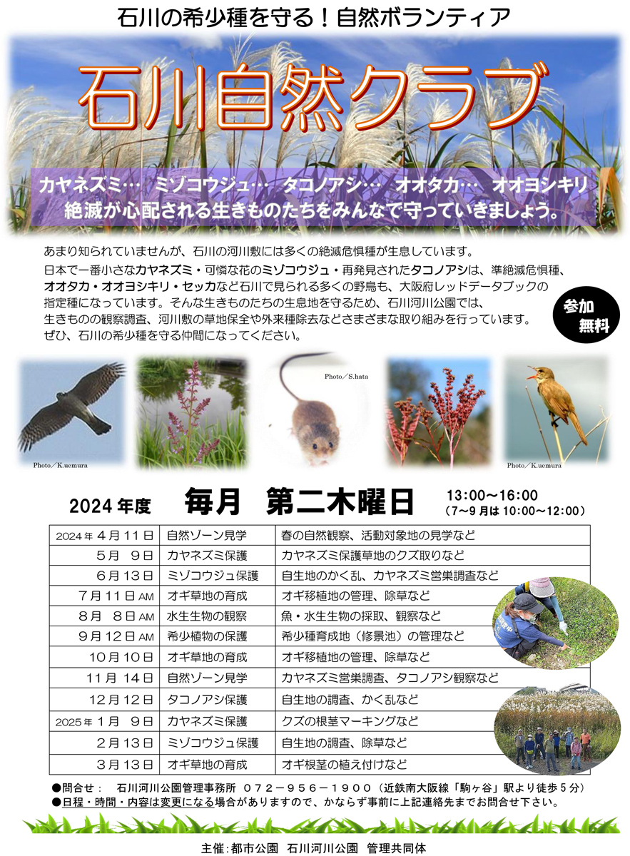 石川の希少種を守る！自然ボランティア「石川自然クラブ」2024年度