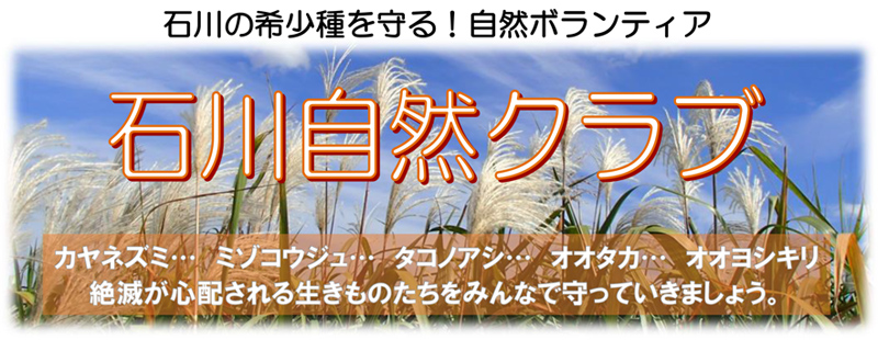 2025年度 石川自然クラブへのリンクバナー