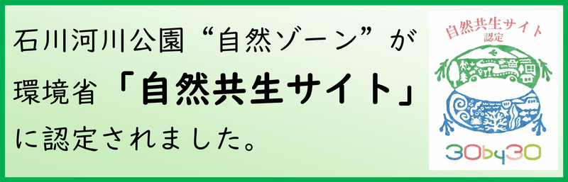 石川河川公園“自然ゾーン”が環境省「自然共生サイト」に認定されました