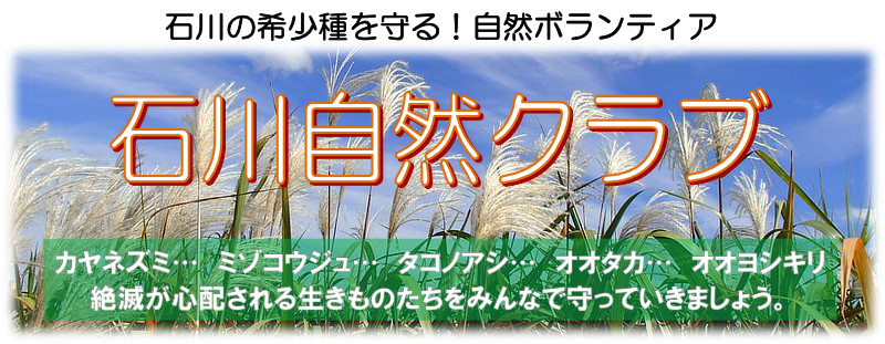2026年度 石川自然クラブへのリンクバナー