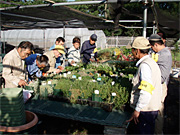 NPO釜ヶ崎の園芸講習会の実地訓練場所提供