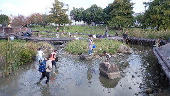 ため池の水抜き観察会②