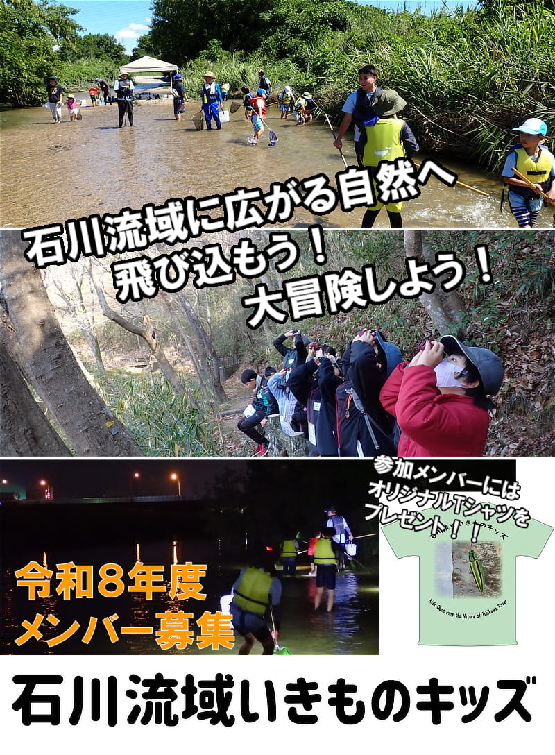 石川流域いきものキッズ募集チラシ