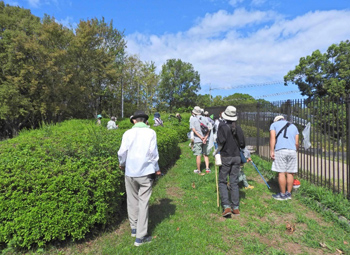 北地区の草地に移動し昆虫を求めて