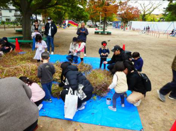 「アサガオの種取り」レポート