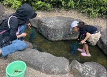 水路にて生息する生きものの採取する子供達
