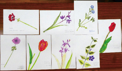 前回「春の花を描こう」参加者作品