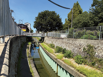 狭山池水系大絵図