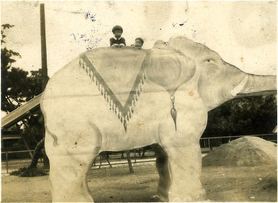 地元から寄せられた昭和5年（1930）頃の住吉公園の様子